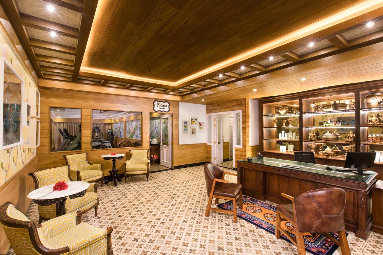 Mayfair Himalayan